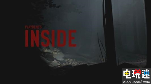 《INSIDE》将于6月28日登陆NS NS INSIDE 电玩迷资讯  第1张