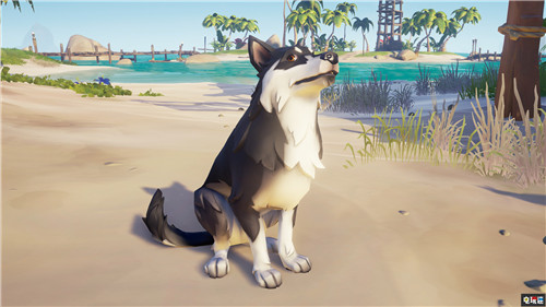 《盗贼之海》将增添汪星人作为宠物 Win10 Steam XboxOne 汪星人 狗 宠物 盗贼之海 电玩迷资讯  第3张