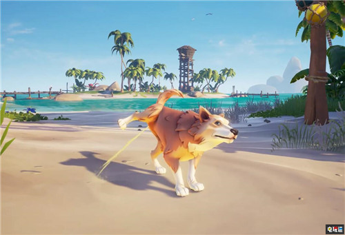 《盗贼之海》将增添汪星人作为宠物 Win10 Steam XboxOne 汪星人 狗 宠物 盗贼之海 电玩迷资讯  第4张