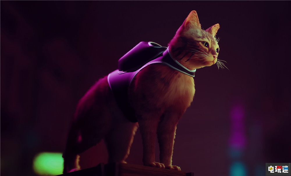 Steam周榜：Steam掌机重返榜首 赛博猫猫《迷失》进前十 Index VR 盗贼之海 艾尔登法环 吸血鬼崛起 掌机 Steam Deck 销量榜 Steam STEAM/Epic  第1张