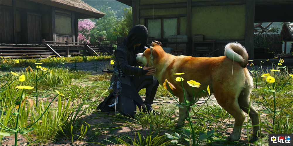 育碧宣布《刺客信条：影》玩家突破500万 撸了3800万动物 玩家数量 刺客信条：影 育碧 电玩迷资讯  第3张